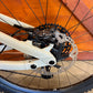 Transition Sentinel Alloy XT