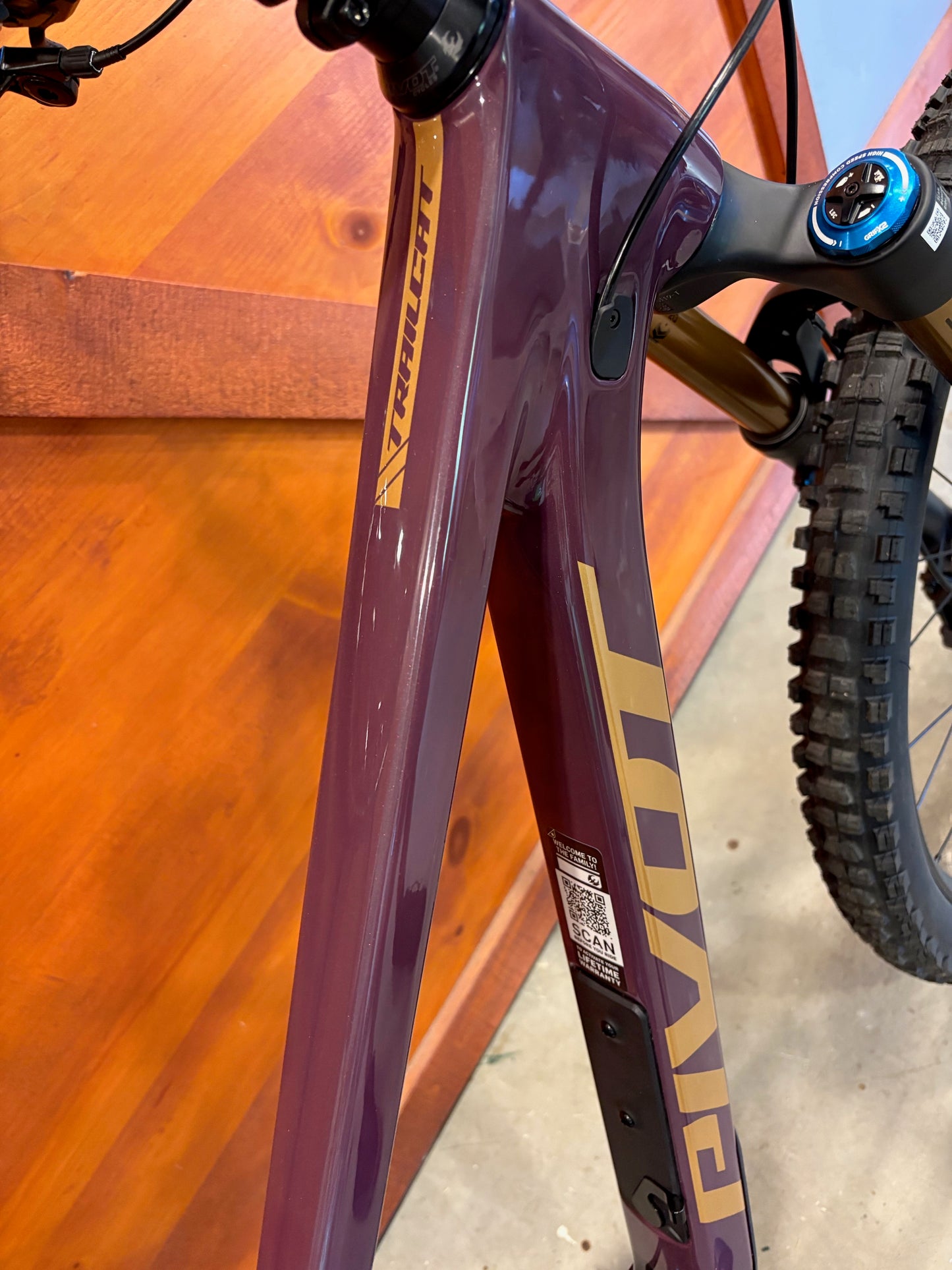 Pivot Trailcat LT XT Di2