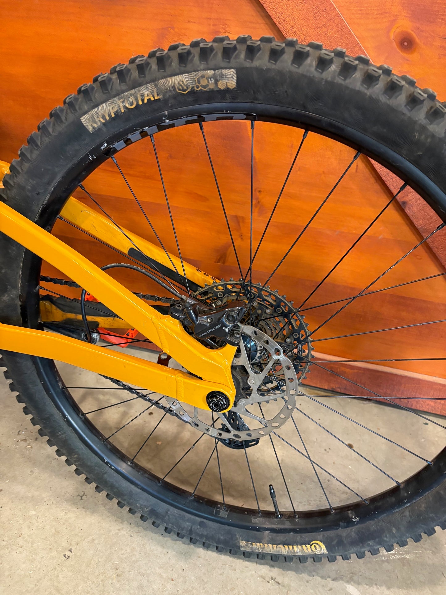 2024 Salsa Blackthorn