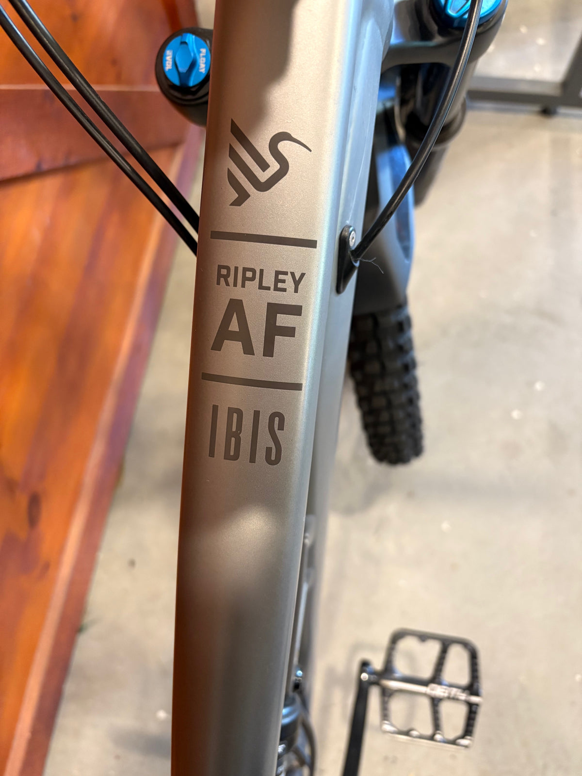 2024 Ibis Ripley AF Large