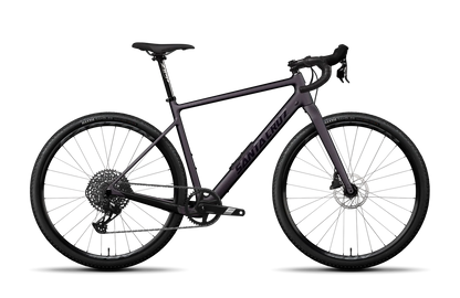 Santa Cruz Stigmata Apex